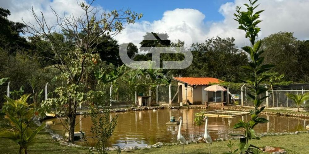 WhatsApp Image 2024-06-03 at 14.59.05